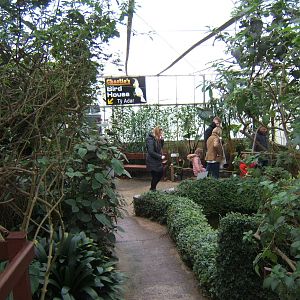 View inside Butterfly House