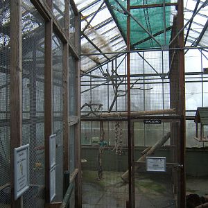 View inside the Bird House