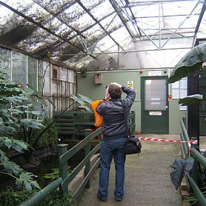 View inside the Bird House
