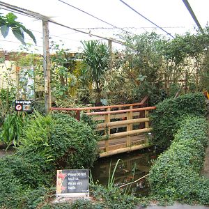 View inside Butterfly House