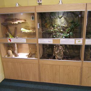 View of Stick Insect Vivs