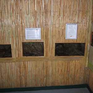 View of Amphibian Room