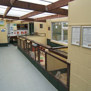 View of Rabbit and Guinea Pig room