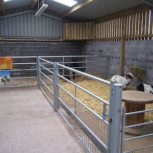 Goat and Donkey Barn