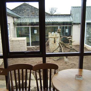 View of Meerkat enclosure