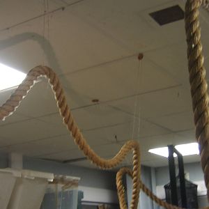 View of Part of the Leaf Cutter Ant rope and Frame for Orb Web Spider