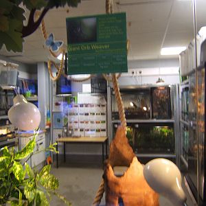 Exhibit from the ceiling of the Invert Room