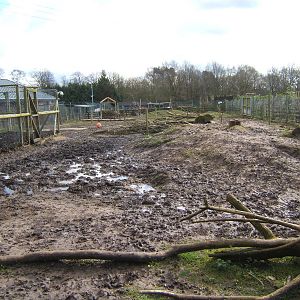 View of Brazilian Tapir and Capybara exhibit