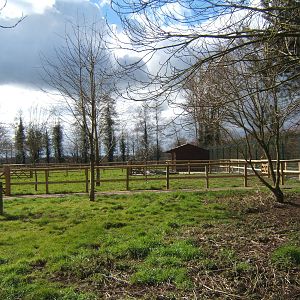 View of latest construction work on the extentsion