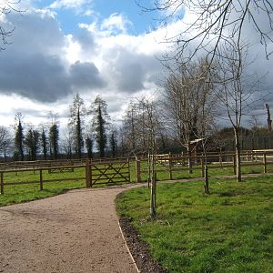 View of latest construction work on the extentsion