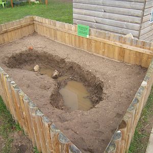 New exhibit under construction