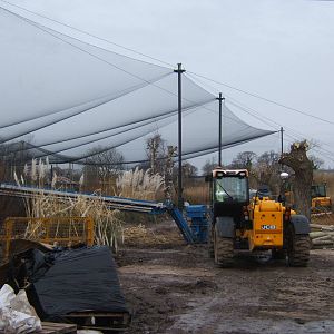 View of work on netting the African Wetlands Aviary