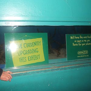 What used to be the Shrimpfish tank being converted the fresh Water