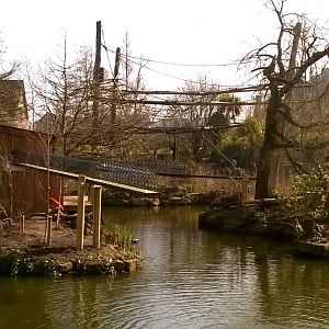 new lemur accommodation