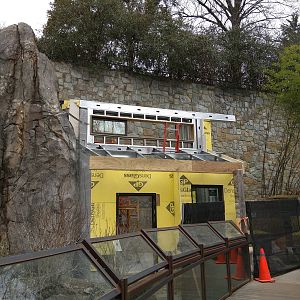 Asia Trail - Red Panda exhibit construction.