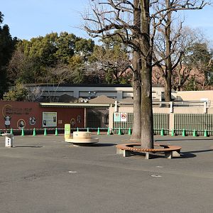 Giant panda complex, February 2016