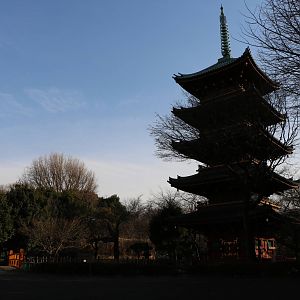 Five-storied pagoda, February 2016