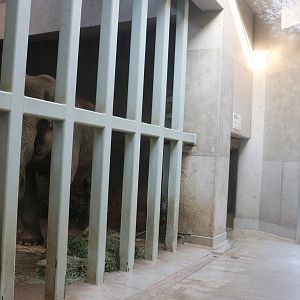 Elephant indoor area, February 2016