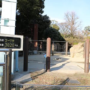 Elephant scales, February 2016