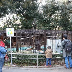 Eurasian otter enclosure, February 2016