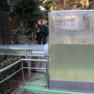 Otter tube, February 2016