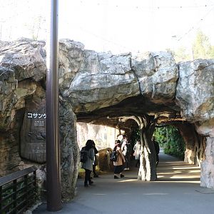 Tiger viewing area, February 2016