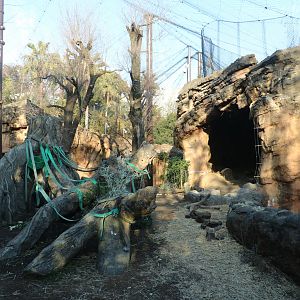 Gorilla enclosure, February 2016