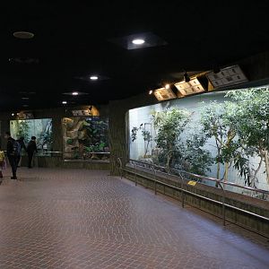 Inside the bird house, February 2016