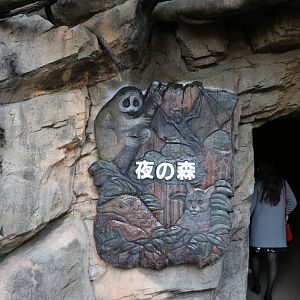 Nocturnal house entrance, February 2016