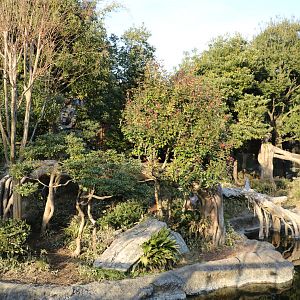 Tapir enclosure, February 2016