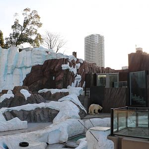 Polar bear enclosure, February 2016