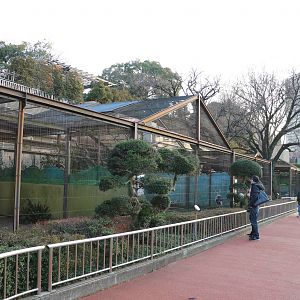 Stork and crane aviaries, February 2016