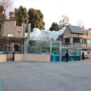 Polar complex, February 2016