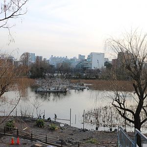 Main lake, February 2016