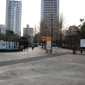 General view, February 2016