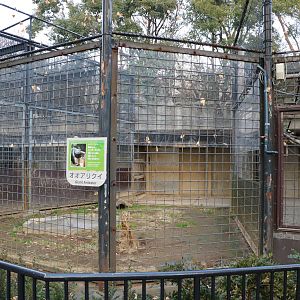 Giant anteater enclosure, February 2016