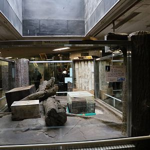 Meerkat enclosure, February 2016