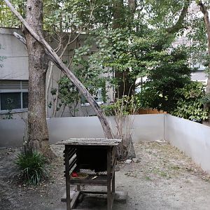 North American porcupine enclosure, February 2016