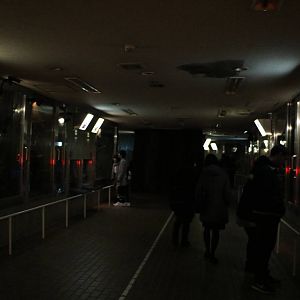 Small mammal house - lower (nocturnal) level, February 2016