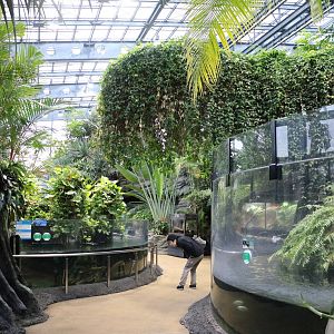 Tropical part of vivarium, February 2016