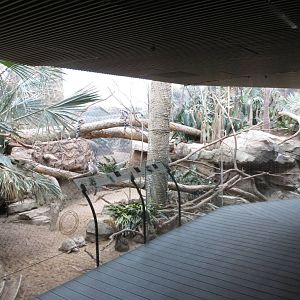 Ring-tailed Lemur enclosure - Madagascar 031215