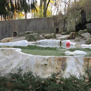 Polar Bear enclosure 031215