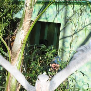 The Keepers are Coming!