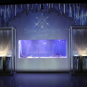 Snow aquarium - EPSON Aqua Park, February 2016