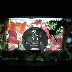 Interactive tank: leaf fish - EPSON Aqua Park, February 2016