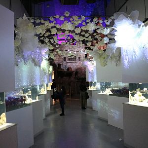 Snow aquarium by naked- EPSON Aqua Park, February 2016