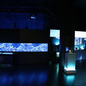 Frozen bar - EPSON Aqua Park, February 2016