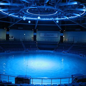 Dolphin stadium - EPSON Aqua Park, February 2016
