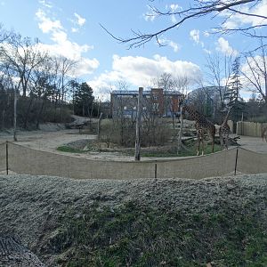 Mar. 2016 - Giraffe Ridge - New Fencing