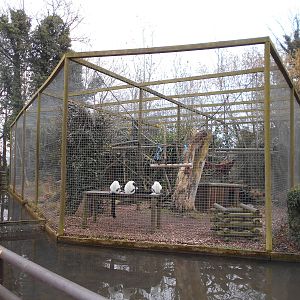 Black and White Ruffed Lemur enclosure - March 15th 2016